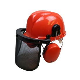 Imagen de Pantalla forestal con casco y orejeras