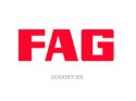 Imagen del fabricante FAG
