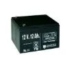 Imagen de Pastor eléctrico Zar Impacto Recargable 12V