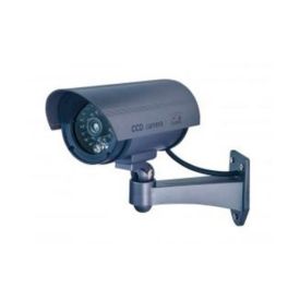 Imagen de Cámara simulada exterior de led