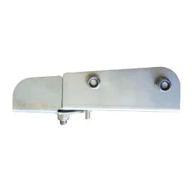 Imagen de Paleta derecha inox 170 mm adaptable abonadora Amazone