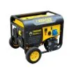 Imagen de Generador dual Gas-Gasolina Ayerbe Energen 7500 6500W
