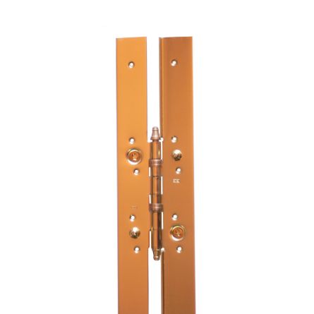 Imagen de Bisagra larga plana 2030x40 mm Igle 1063 izquierda