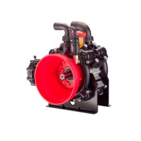 Imagen de Bomba herbicida con membrana Annovi BP 185 C/C BlueFlex