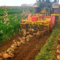 Imagen para la categoría ARRANCADORA REMOLACHA