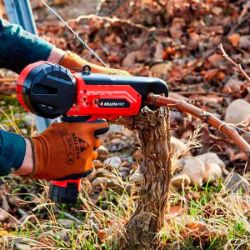 Imagen para la categoría VIÑA