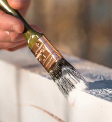 Imagen para la categoría RODILLOS, BROCHAS Y PINCELES