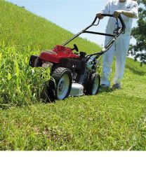 Imagen para la categoría MANTANIMIENTO DE CESPED Y SETOS