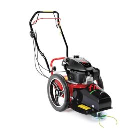 Imagen de Desbrozadora con ruedas Flo Speed  6LC