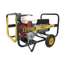 Imagen de Generador eléctrico dual Gas-Gasolina 5300 W Ayerbe 8000 H MN GAS