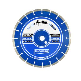 Imagen de Disco general obra 300x25,4 H=10 Good Value