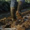 Imagen de Bota de agua seguridad Bekina Steplitex S5